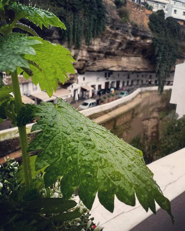 Setenil De Las Bodegas Casa Bajo La Rocaヴィラ エクステリア 写真